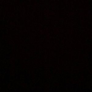 Meet your Posher, Annabelle